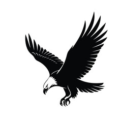 Obraz premium Adobe Illustrator Artwork