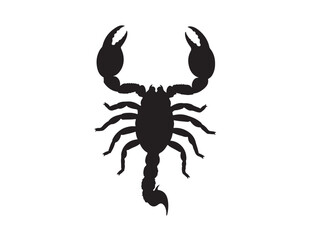 Claw Scorpion icon top view in silhouette white background.
