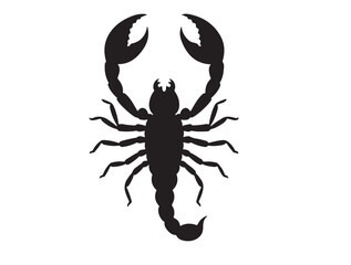 Deathstalker Scorpion icon top view in silhouette.