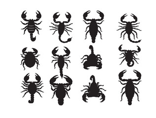 Striped Bark Scorpion types.