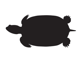 Turtle in silhouette white background. top view.