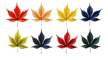 Obraz premium Vibrant maple leaves present colorful autumn collection of natural beauty