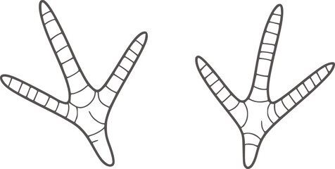 Bird footprints avian tracks nature