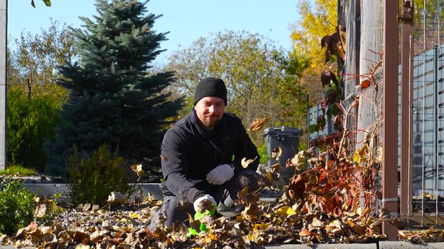 Autumn leaf raking. A man blows away piles of leaves with a leaf blower. Slow-motion 4K video.