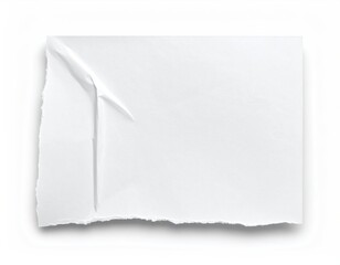 Torn edge white paper with a curled corner
