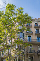 Historic apartment building with green tree under blue sky vertical