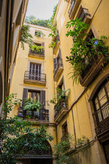 Tall yellow building courtyard with abundant greenery and balconies vertical