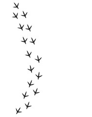 Vector cartoon illustration of a bird footprint path in minimalist sketch style isolated on white background