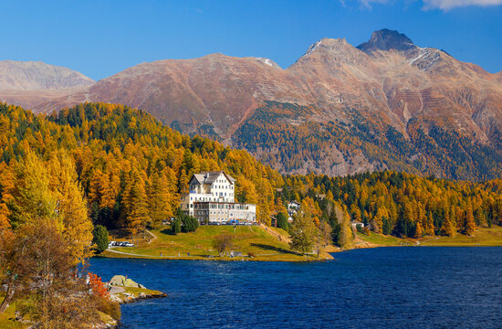 Autumn scenic alpine landscape with golden trees around Saint Moritz lake in Upper Engadine in Canton of Grisons, Switzerland, Europe	