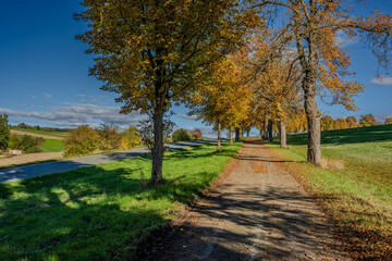 Herbstlicher Spaziergang entlang eines schmalen Weges mit bunten B&auml;umen und Wiese