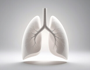 The Respiratory System: Lungs, Health, and Medical Imaging