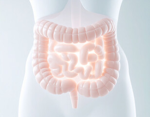 Exploring the Human Gut: From Digestion to Disease
