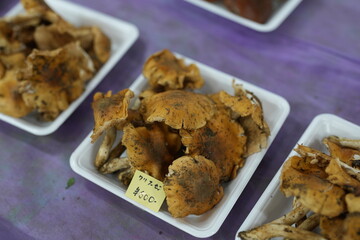 A table with several white trays of mushrooms. The mushrooms are in different shapes and sizes, and some of them are covered in dirt. There is a price tag on one of the trays
