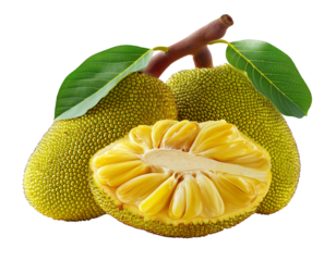 a photo of the whole jackfruit and sliced jack_imm bold, vibrant green with yellowish pink hues, set against a white background