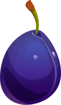 Cartoon raw ripe plum fruit. Isolated vector healthy summer food, sweet and juicy dessert, vegetarian nutrition, fresh garden plant. Bright and glossy damson with deep purple skin and a green stem