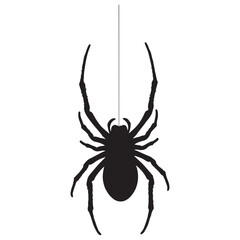 Black Spider Silhouette Hanging from Thin Web Thread Vector Graphic