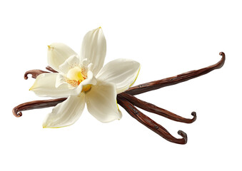 Vanilla bloom with cured, drying spice pods