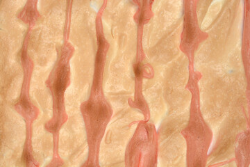 A detailed full-frame shot of a golden-brown baked meringue surface featuring vertical, reddish-brown streaks of cooled icing