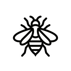 Line Drawing of a Bee with Wings and Striped Abdomen on White Background