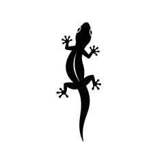 Silhouette of Lizard Climbing on White Background Reptile with Claws and Curved Tail