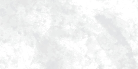 Abstract grunge grey and white shades background Grunge texture design white background of natural cement or stone old texture material. and marble texture design this are use background design	
