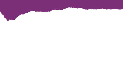Torn purple paper edge isolated on transparent background
