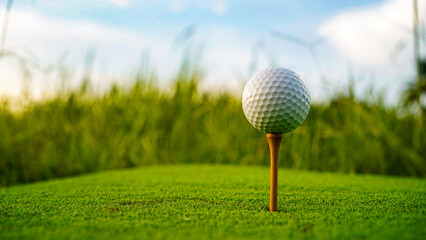 Golf ball on green grass in the evening golf course with sunshine background.