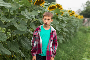 a sad boy in a shirt is standing next to sunflowers