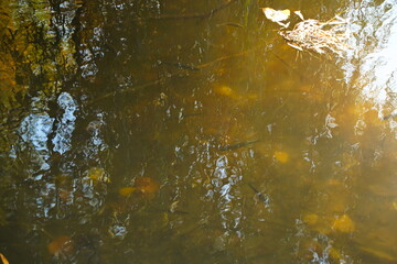 Soldier Lake. A lake in a mountainous area with different vegetation. Bright juicy autumn leaves, leaf fall and reflection in the water.