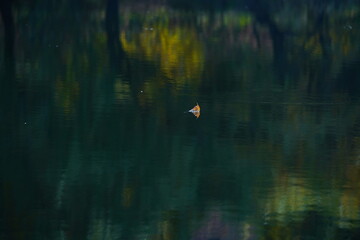 Soldier Lake. A lake in a mountainous area with different vegetation. Bright juicy autumn leaves, leaf fall and reflection in the water.