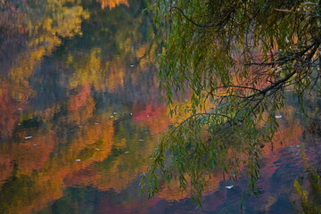 Soldier Lake. A lake in a mountainous area with different vegetation. Bright juicy autumn leaves, leaf fall and reflection in the water.