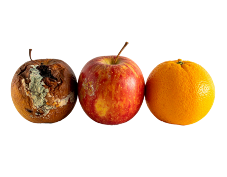 Three stages of fruit aging: fresh, bruised, and rotten