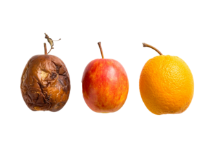 Fruit transformation from fresh to rotten isolated on white