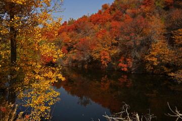 Soldier Lake. A lake in a mountainous area with different vegetation. Bright juicy autumn leaves, leaf fall and reflection in the water.