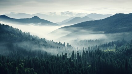 Obraz premium Misty Mountains and Forest Canopy Shrouded in Fog and Soft Natural Light