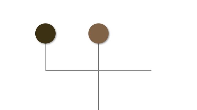 A modern and minimal 5-step motion infographic that simplifies process communication, clarifies tasks, and enhances workflow visualization with a sleek, professional look.