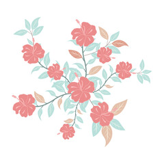 Print flower_bouquets_hibiscus_pastel_color_on_white_background_botanical_elements