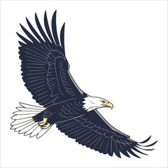 eagle in flight
