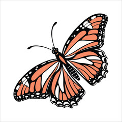 butterfly vector illustration