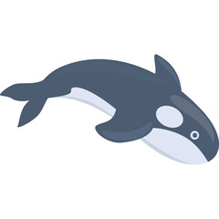 Orca Killer Whale Marine Mammal With Dark Gray Body White Belly and Eye Patch Underwater Ocean Life Flat Design Style