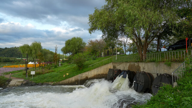 water flow from floodgate with trees and flower field under cloudy sky