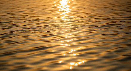 Golden Sunlight Reflects On Rippled Water Surface Creating Warm Glow