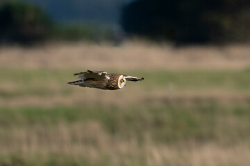 _DSC4361.NEF