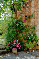 JARDIN DE LA DAILLE - 24-42198.JPG