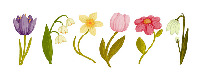 Set of colorful spring flowers. Vector graphics.