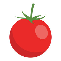 Bright red tomato with green stem isolated on white background