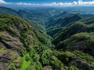 Naklejka premium Rainforest aerial tram in Kuranda image