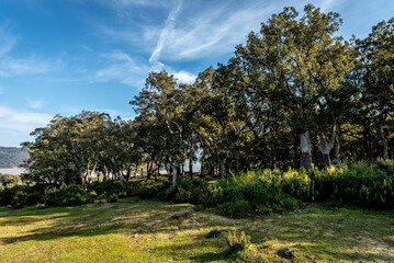 Beautiful landscape view from the north of Tunisia