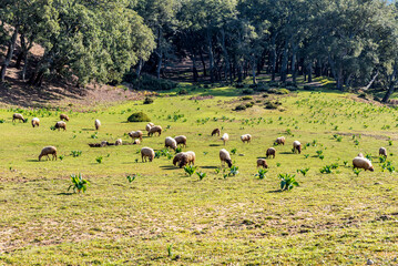 Beautiful landscape view from the north of Tunisia