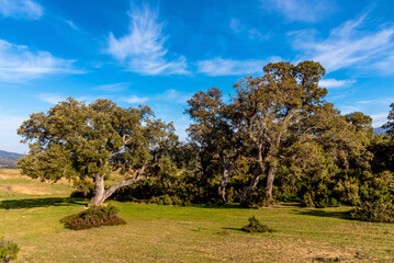 Beautiful landscape view from the north of Tunisia